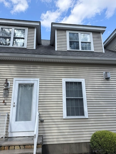 brush removal in the Chicagoland Area3