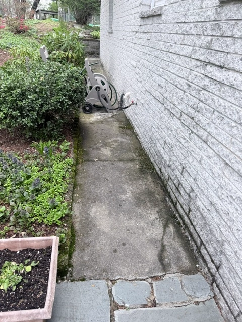 brush removal in the Chicagoland Area3